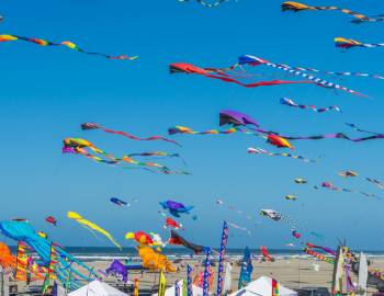 lincoln city summer kite festival