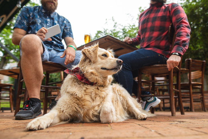 pet friendly restaurant lincoln city oregon